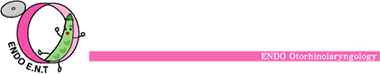えんどう耳鼻咽喉科｜厚木市本厚木のかかりつけ耳鼻科
